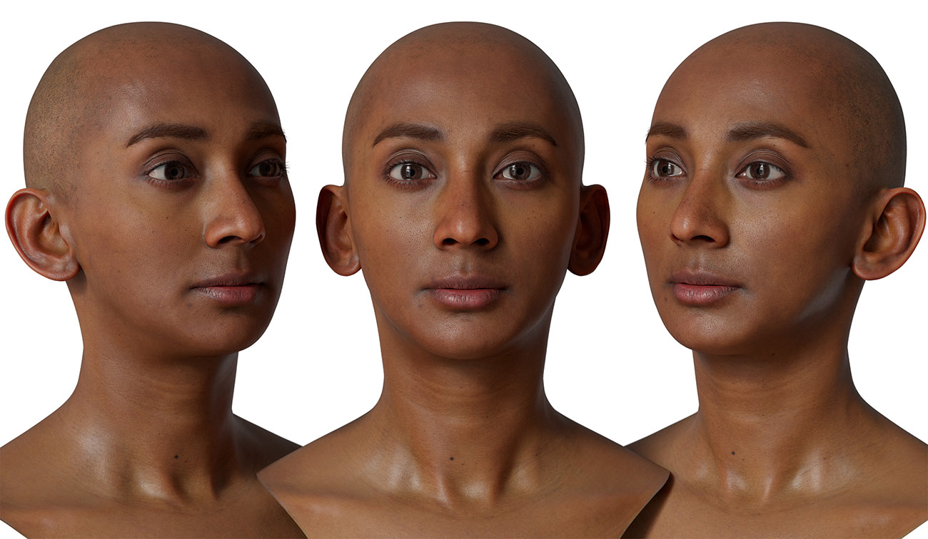 Female 3d head scan download